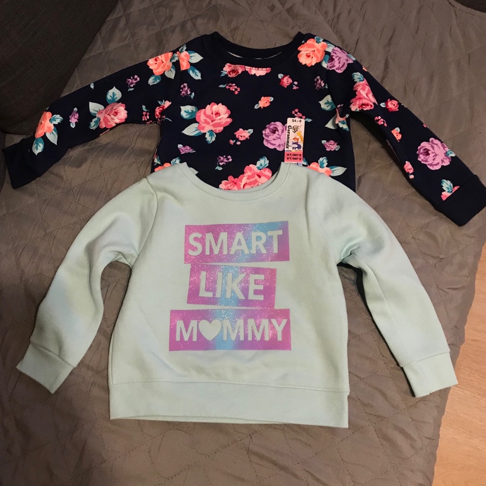 Set of 2 garanimals sweaters